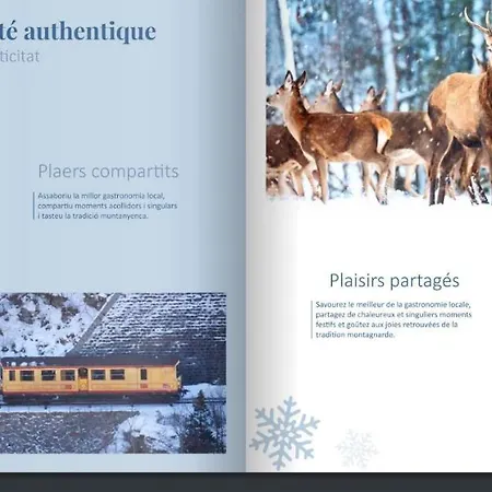 Lejlighed Superbe Romeu La Pardallera Font-Romeu-Odeillo-Via